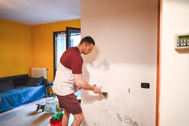 Best Best Mold Removal Companies  in King City, CA